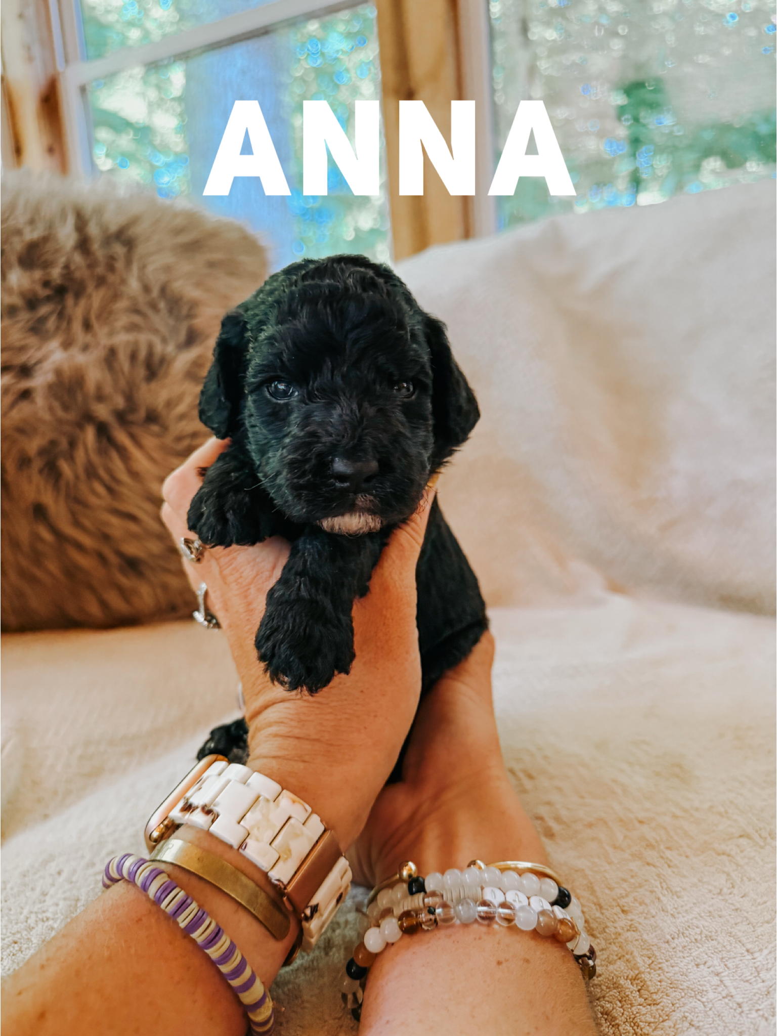 Anna 1